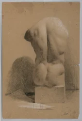 Torso masculin d