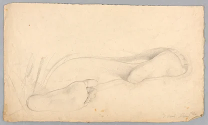 Étude des pieds d