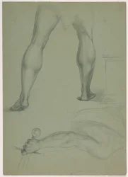 Deux études anatomiques partielles