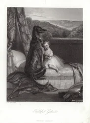 Gelert fidèle