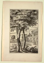 Planche dans Nouveaux Livre de Paysages
