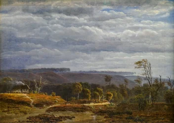Vue d