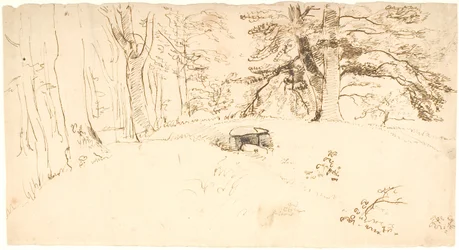 Un tumulus boisé avec entrée au tombeau