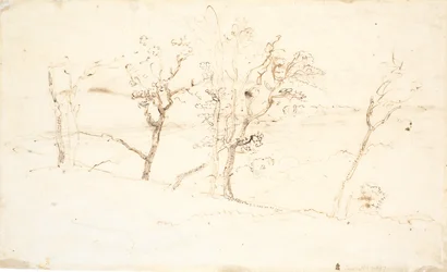 Paysage du Jutland. Lacs entre collines