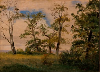 Paysage avec arbres isolés