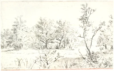 Paysage avec forêt et prairie