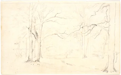 Intérieur de forêt
