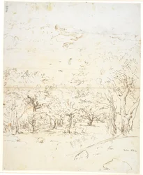 Vue à travers une forêt vers un détroit