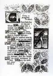 Texte illuminé de la séquence de sonnets 