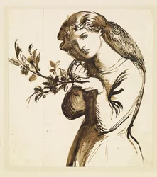 Femme - Étude d