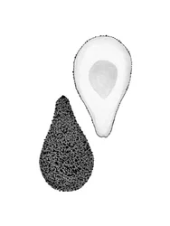 Avocat noir et blanc