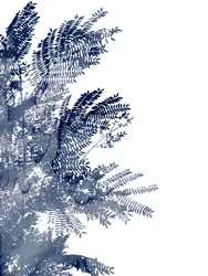 Canopée de feuilles bleues