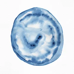 Tourbillon indigo fluide