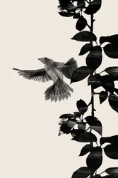Silhouette d