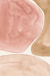 Nuances de blush bio