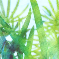 Aquarelle « Herbe verte »