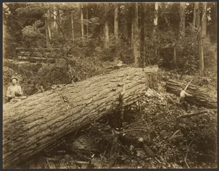 [Scène de l