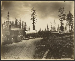 Moteur de batteuse tirant cinq wagons de grumes