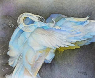 Prendre son envol, 2019