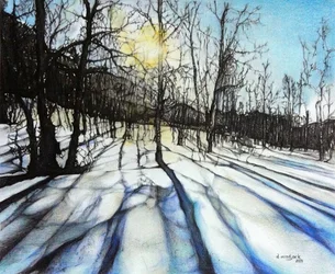 Ombres hivernales, 2017