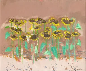 Tournesols