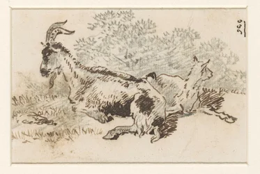Chèvre et chevreau dans un paysage