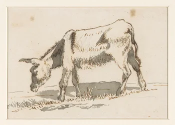 Âne broutant, de gauche