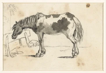 Cheval debout et un chien couché