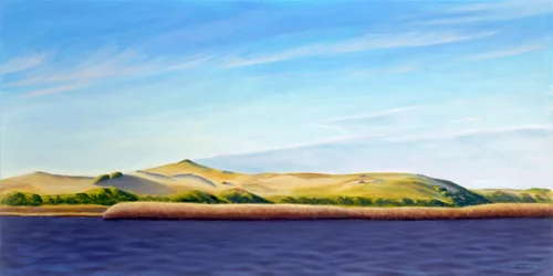Entering the Provincelands, 2013 (huile sur toile)
