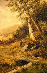 Paysage
