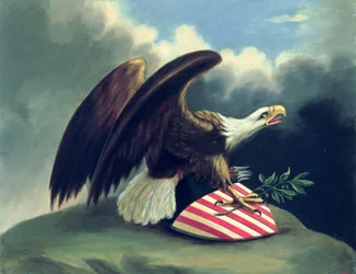 Aigle chauve et le bouclier des États-Unis, c.1847