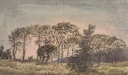 Paysage avec arbres