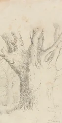 Arbre
