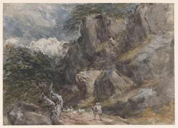 Conduite de moutons dans un paysage rocheux