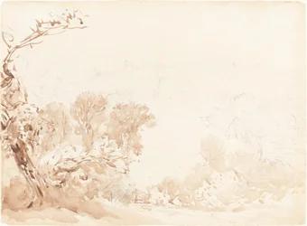 Colline et Arbres