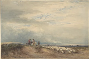 Cavaliers avec des moutons près d
