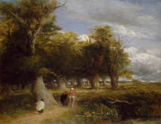 Bords de la forêt, 1855