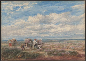 Les cueilleurs de bruyère ou de genêt