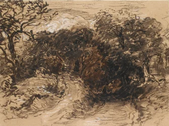 Un chemin creux près de Harborne, Derbyshire