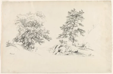 Châtaignier et pin, 1869