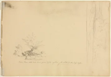 Études de paysages et d