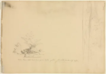 Études de paysage et d