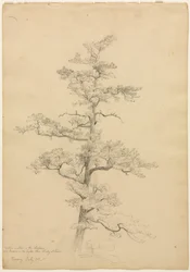 Pin, Conway, New Hampshire recto, vers 1851