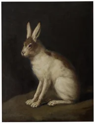 Lièvre