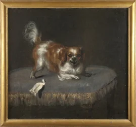 Le chien Courtisane
