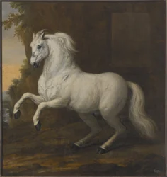 Le cheval personnel de Charles XI, Kortom