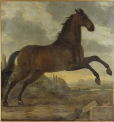 Le cheval de parade de Charles XI, Sultan