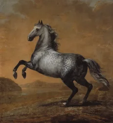 Le Petit Anglais, cheval du roi Karl XI (1655-97)