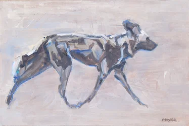 Chien peint africain (chien sauvage)