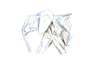Éléphant d